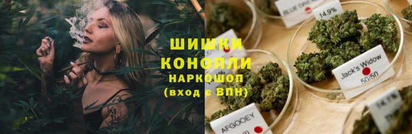 молекула духа Алзамай