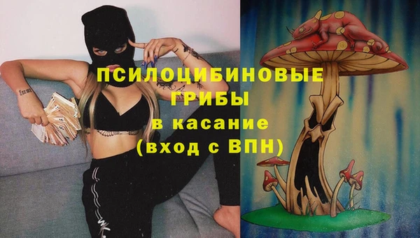 молекула духа Алзамай