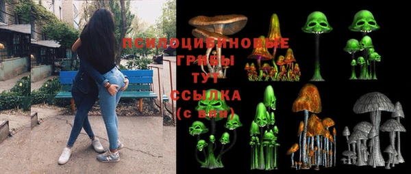 молекула духа Алзамай